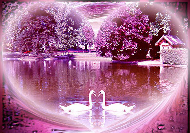 Un signe d'amour !